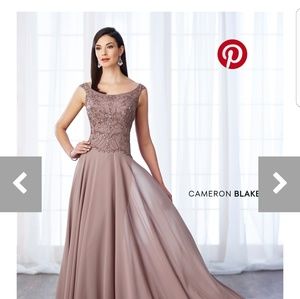 Formal Mother of Bride Mink Gown Size 18 W- EUC